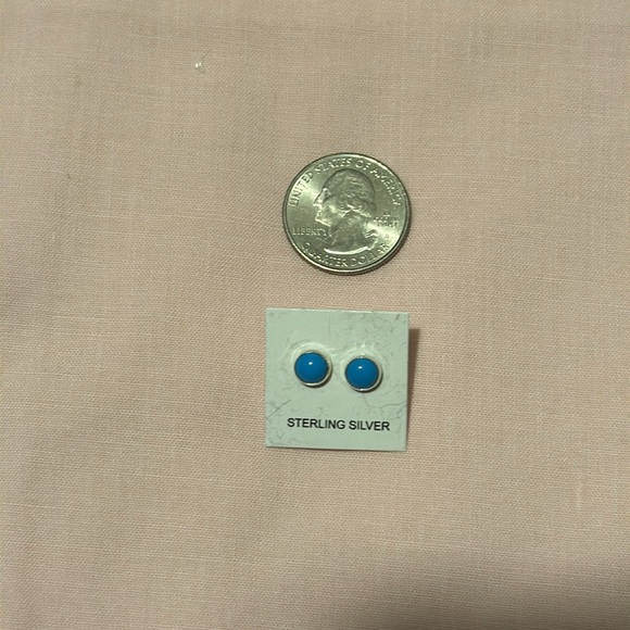 Sleeping Beauty Turquoise Stud Earrings NWOT - Picture 4 of 4